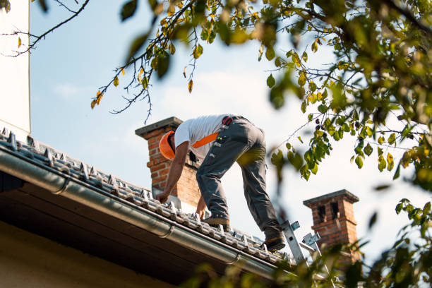 Best Residential Roofing Contractor  in Walls, MS